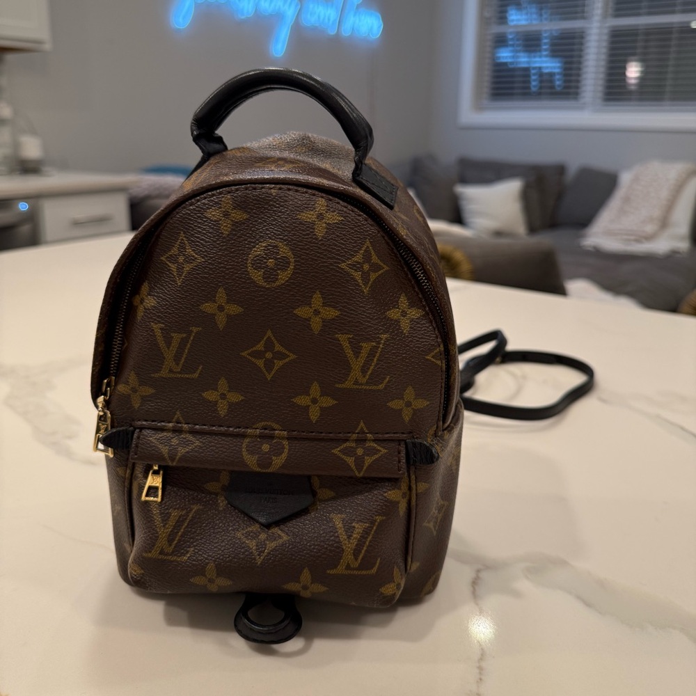 Louis Vuitton Palm Springs Mini Backpack